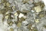 Gleaming Cubic Pyrite Crystals with Quartz - Peru #287606-1